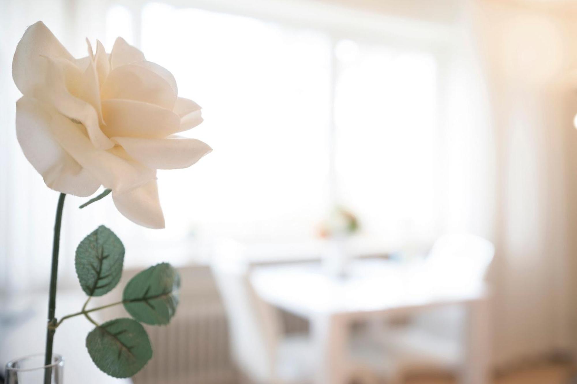 Haus Seepferdchen Am Meer Appartement 2 蒂门多弗施特兰德 外观 照片